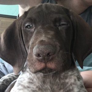 Meet your Posher, Savanna